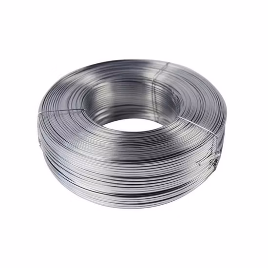 Galvanized Binding Gi Wire Bwg 18 20 21 22 Electro Galvanized Iron Carbon Steel Wire for Construction and Wire Mesh Making Gi Wire
