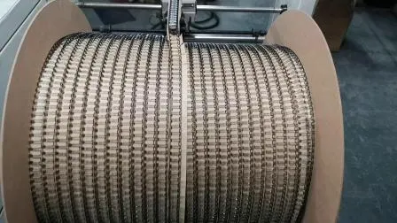 ダブルまたはシングルループ用の0.85mmナイロン被覆鋼線